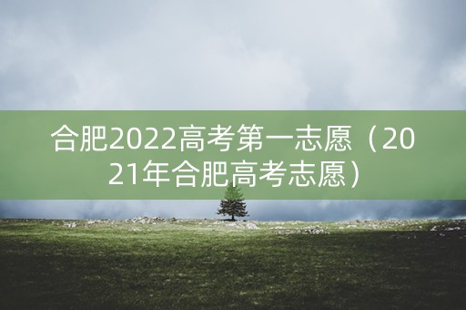 合肥2022高考第一志愿（2021年合肥高考志愿）