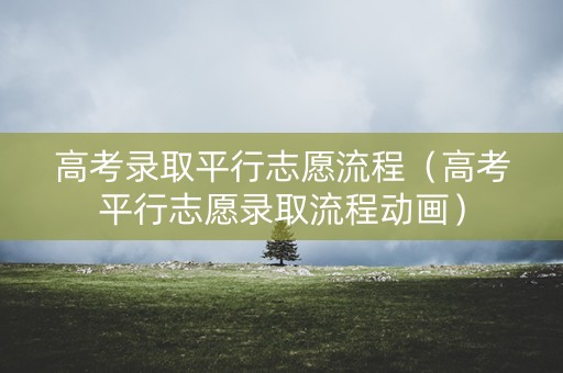 高考录取平行志愿流程（高考平行志愿录取流程动画）