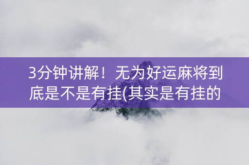 3分钟讲解！无为好运麻将到底是不是有挂(其实是有挂的)