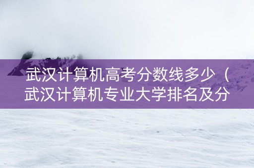 武汉计算机高考分数线多少（武汉计算机专业大学排名及分数线）