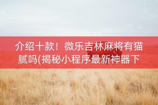 介绍十款！微乐吉林麻将有猫腻吗(揭秘小程序最新神器下载)