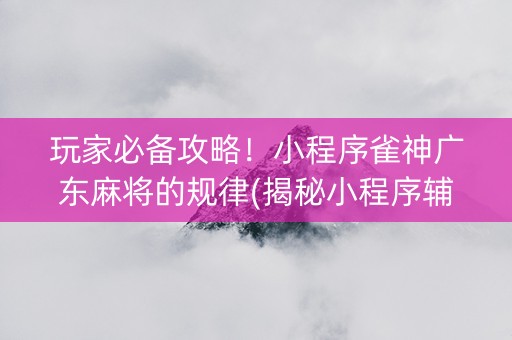 玩家必备攻略！小程序雀神广东麻将的规律(揭秘小程序辅牌器)