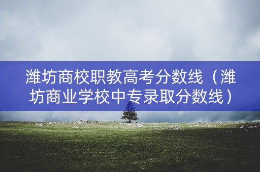 潍坊商校职教高考分数线（潍坊商业学校中专录取分数线）
