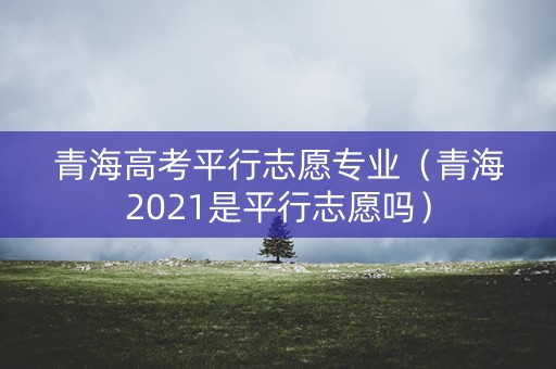 青海高考平行志愿专业（青海2021是平行志愿吗）