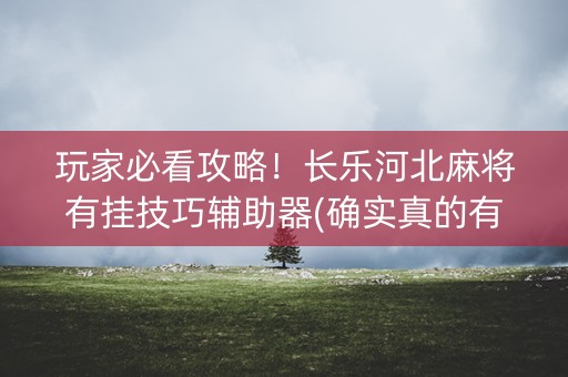玩家必看攻略！长乐河北麻将有挂技巧辅助器(确实真的有挂)