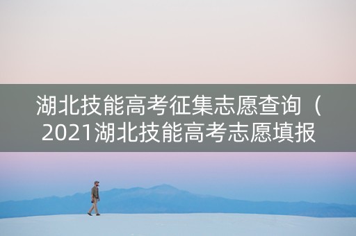湖北技能高考征集志愿查询（2021湖北技能高考志愿填报入口）