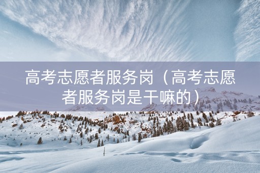 高考志愿者服务岗（高考志愿者服务岗是干嘛的）