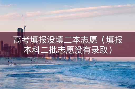 高考填报没填二本志愿（填报本科二批志愿没有录取）