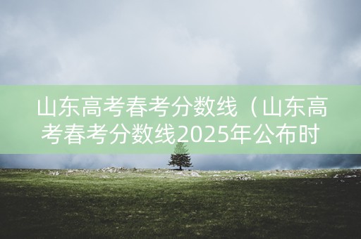 山东高考春考分数线（山东高考春考分数线2025年公布时间是）