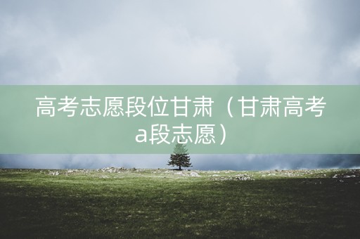 高考志愿段位甘肃（甘肃高考a段志愿）