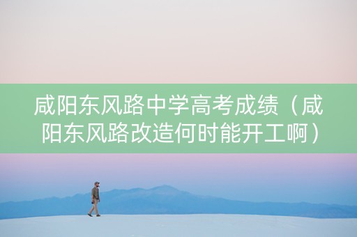 咸阳东风路中学高考成绩（咸阳东风路改造何时能开工啊）