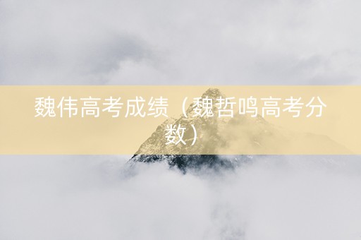 魏伟高考成绩（魏哲鸣高考分数）