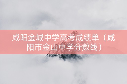 咸阳金城中学高考成绩单（咸阳市金山中学分数线）