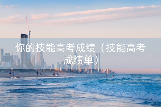 你的技能高考成绩（技能高考成绩单）