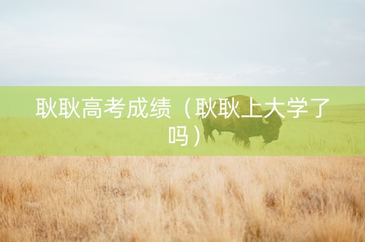 耿耿高考成绩（耿耿上大学了吗）
