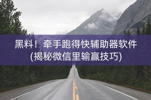 黑料！牵手跑得快辅助器软件(揭秘微信里输赢技巧)