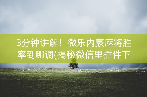 3分钟讲解！微乐内蒙麻将胜率到哪调(揭秘微信里插件下载)