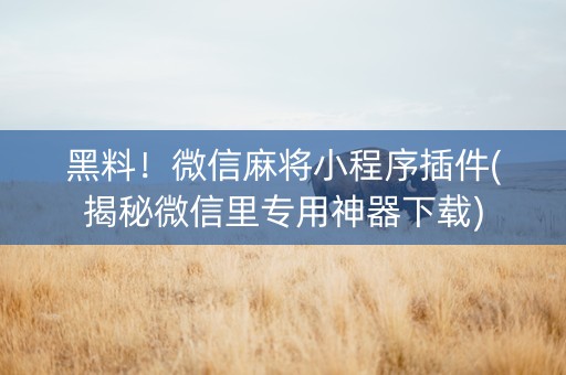 黑料！微信麻将小程序插件(揭秘微信里专用神器下载)