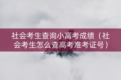 社会考生查询小高考成绩（社会考生怎么查高考准考证号）