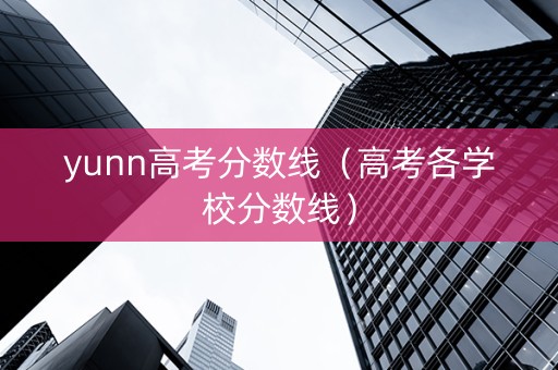 yunn高考分数线（高考各学校分数线）