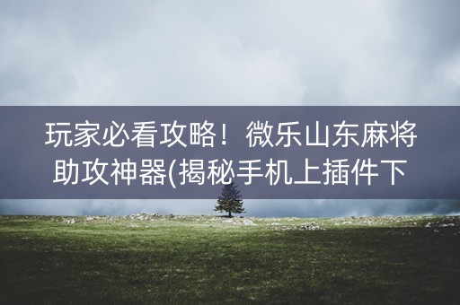 玩家必看攻略！微乐山东麻将助攻神器(揭秘手机上插件下载)