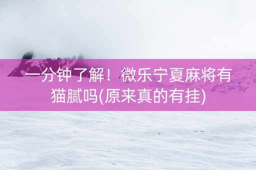 一分钟了解！微乐宁夏麻将有猫腻吗(原来真的有挂)