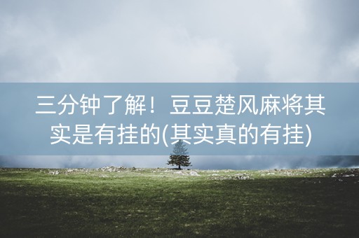 三分钟了解！豆豆楚风麻将其实是有挂的(其实真的有挂)