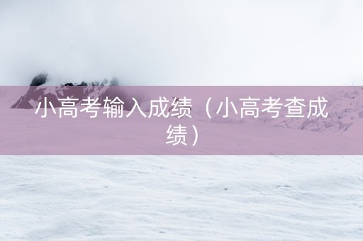 小高考输入成绩（小高考查成绩）