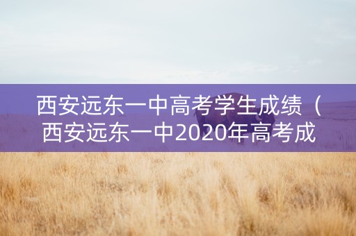 西安远东一中高考学生成绩（西安远东一中2020年高考成绩单）