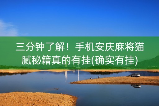 三分钟了解！手机安庆麻将猫腻秘籍真的有挂(确实有挂)