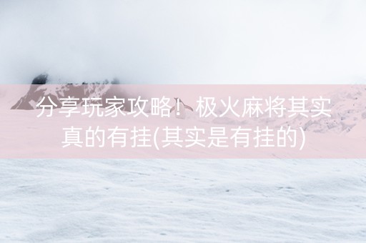 分享玩家攻略！极火麻将其实真的有挂(其实是有挂的)