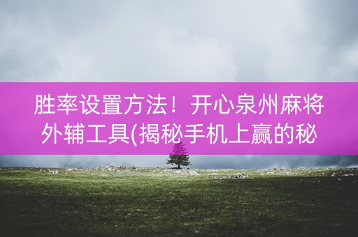胜率设置方法！开心泉州麻将外辅工具(揭秘手机上赢的秘诀)