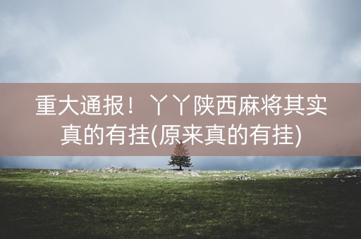 重大通报！丫丫陕西麻将其实真的有挂(原来真的有挂)