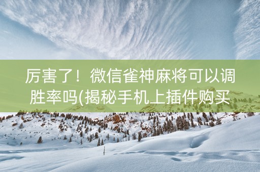 厉害了！微信雀神麻将可以调胜率吗(揭秘手机上插件购买)