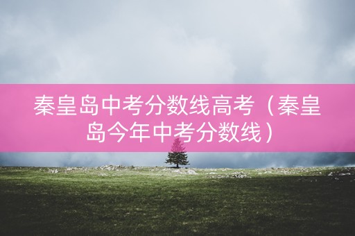 秦皇岛中考分数线高考（秦皇岛今年中考分数线）