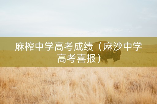 麻榨中学高考成绩（麻沙中学高考喜报）