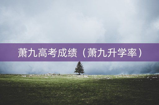 萧九高考成绩（萧九升学率）