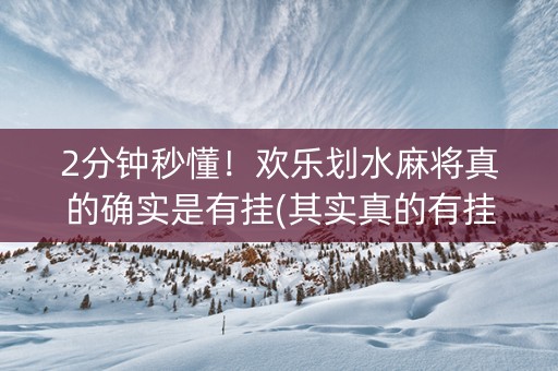 2分钟秒懂！欢乐划水麻将真的确实是有挂(其实真的有挂)