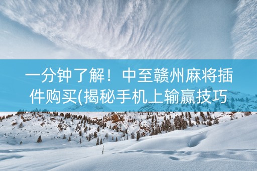 一分钟了解！中至赣州麻将插件购买(揭秘手机上输赢技巧)