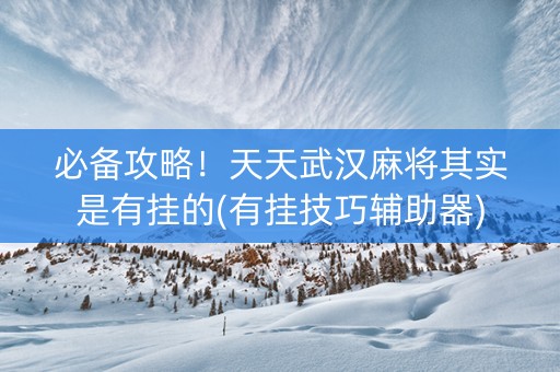 必备攻略！天天武汉麻将其实是有挂的(有挂技巧辅助器)