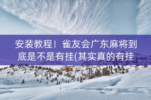安装教程！雀友会广东麻将到底是不是有挂(其实真的有挂)