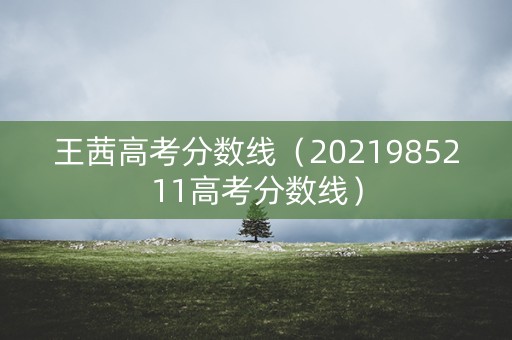 王茜高考分数线（2021985211高考分数线）