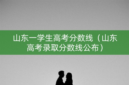山东一学生高考分数线（山东高考录取分数线公布）