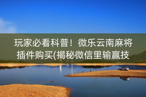 玩家必看科普！微乐云南麻将插件购买(揭秘微信里输赢技巧)