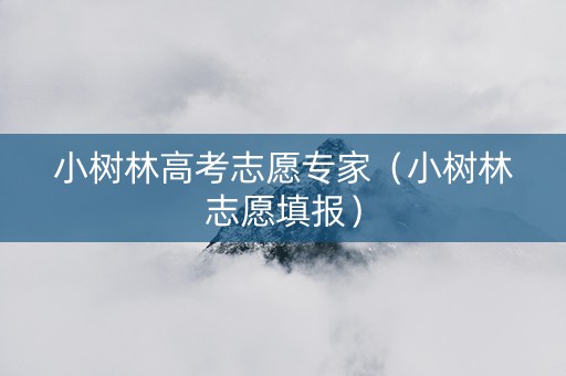 小树林高考志愿专家（小树林志愿填报）