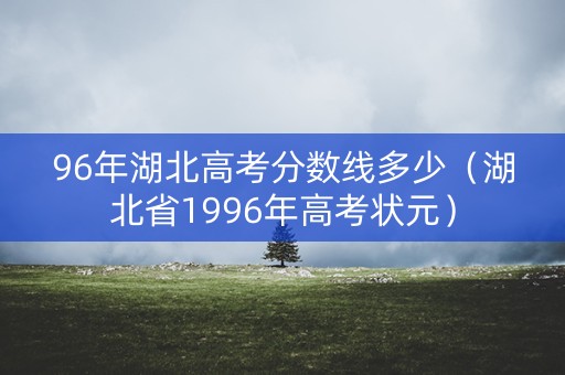 96年湖北高考分数线多少（湖北省1996年高考状元）