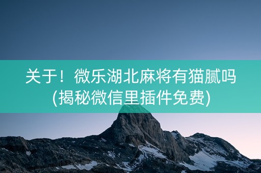 关于！微乐湖北麻将有猫腻吗(揭秘微信里插件免费)
