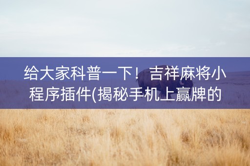 给大家科普一下！吉祥麻将小程序插件(揭秘手机上赢牌的技巧)