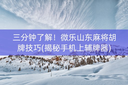三分钟了解！微乐山东麻将胡牌技巧(揭秘手机上辅牌器)