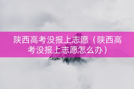 陕西高考没报上志愿（陕西高考没报上志愿怎么办）